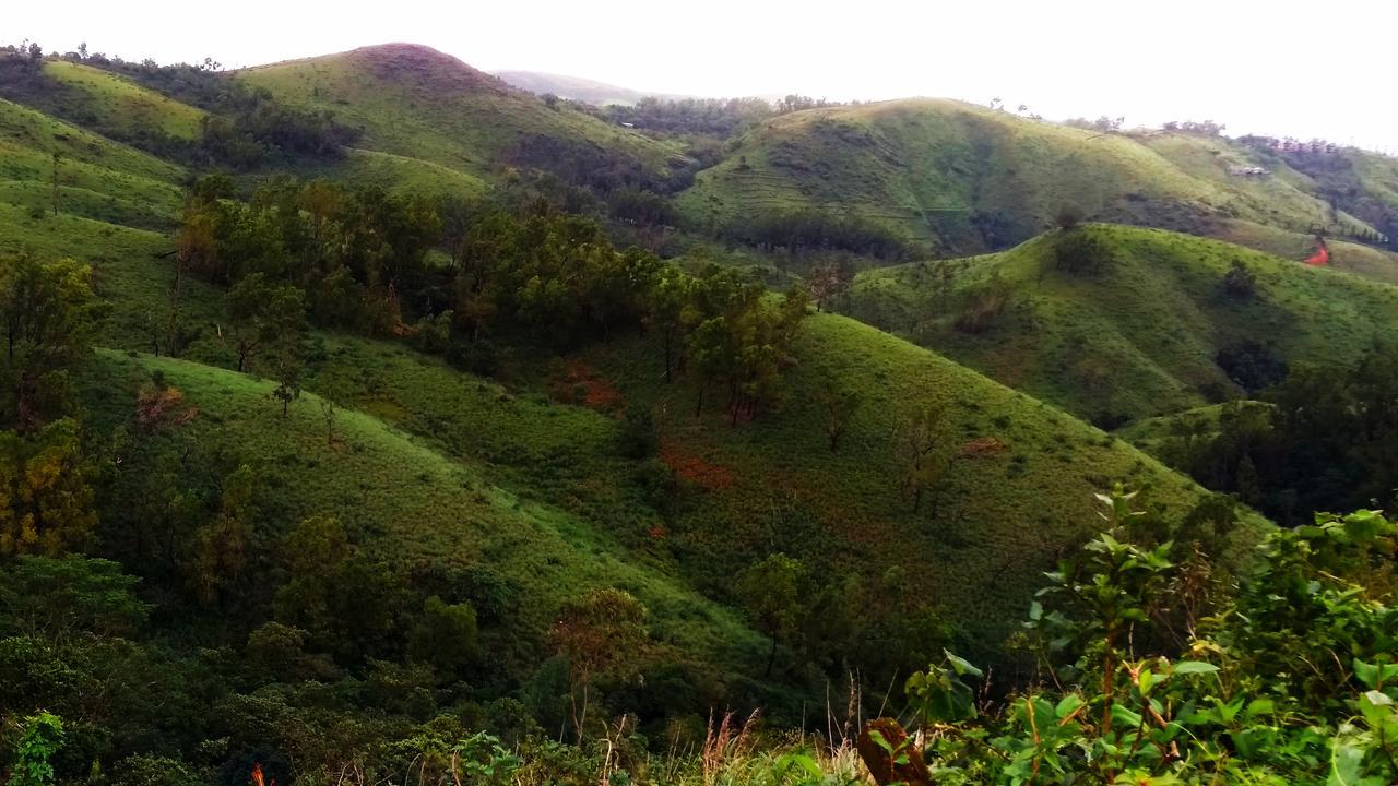 Vagamon Clouds Hotel ภายนอก รูปภาพ