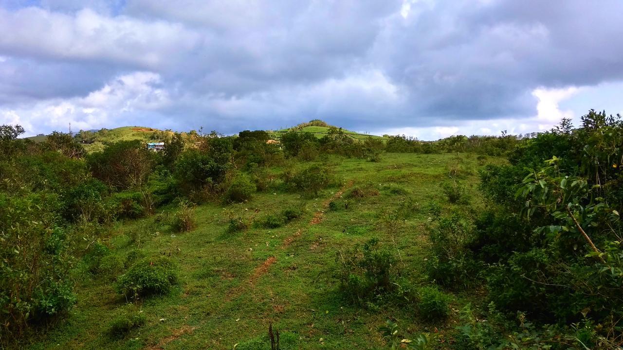 Vagamon Clouds Hotel ภายนอก รูปภาพ